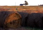 treehousehaybails--FIN  [#Beginning of Shooting Data Section] Nikon D100   Focal Length: 50mm  White Balance: Auto -1  Color Mode: Mode I (sRGB)  2004/01/10 16:34:52  Exposure Mode: Aperture Priority  AF Mode: AF-C  Hue Adjustment: 0°  JPEG (8-bit) Fine  Metering Mode: Spot  Tone Comp: Less Contrast  Sharpening: High  Image Size:  Medium (2240 x 1488)  1/30 sec - f/16  Flash Sync Mode: Not Attached  Noise Reduction: OFF  Exposure Comp.: -0.7 EV  Image Comment:                                       [#End of Shooting Data Section]