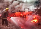 bridgefire.jpg  Una firefighter Robby Hurst, left, and other members of the Una and Hilltop fire departments battle a fire that engulfed the old Williams St. bridge Wednesday evening.The old wooden bridge was shut down to traffic last year.